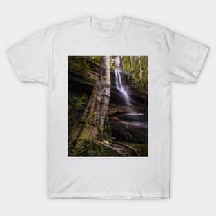 Strickland Falls T-Shirt